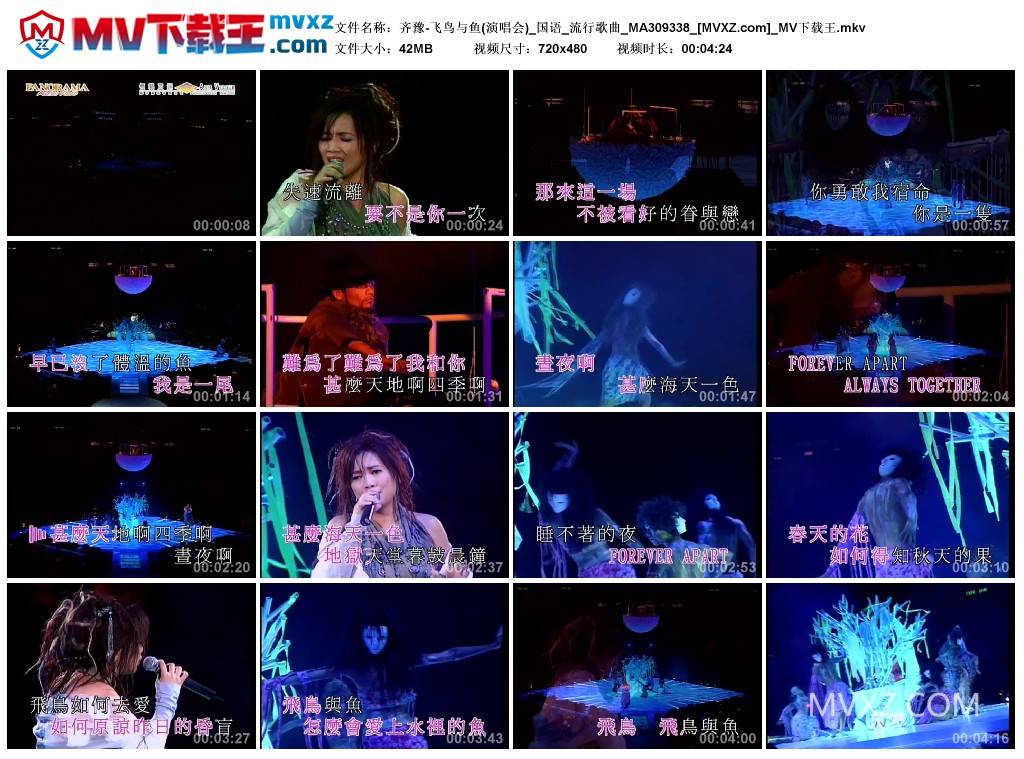 齐豫-飞鸟与鱼(演唱会)_国语_流行歌曲_MA309338